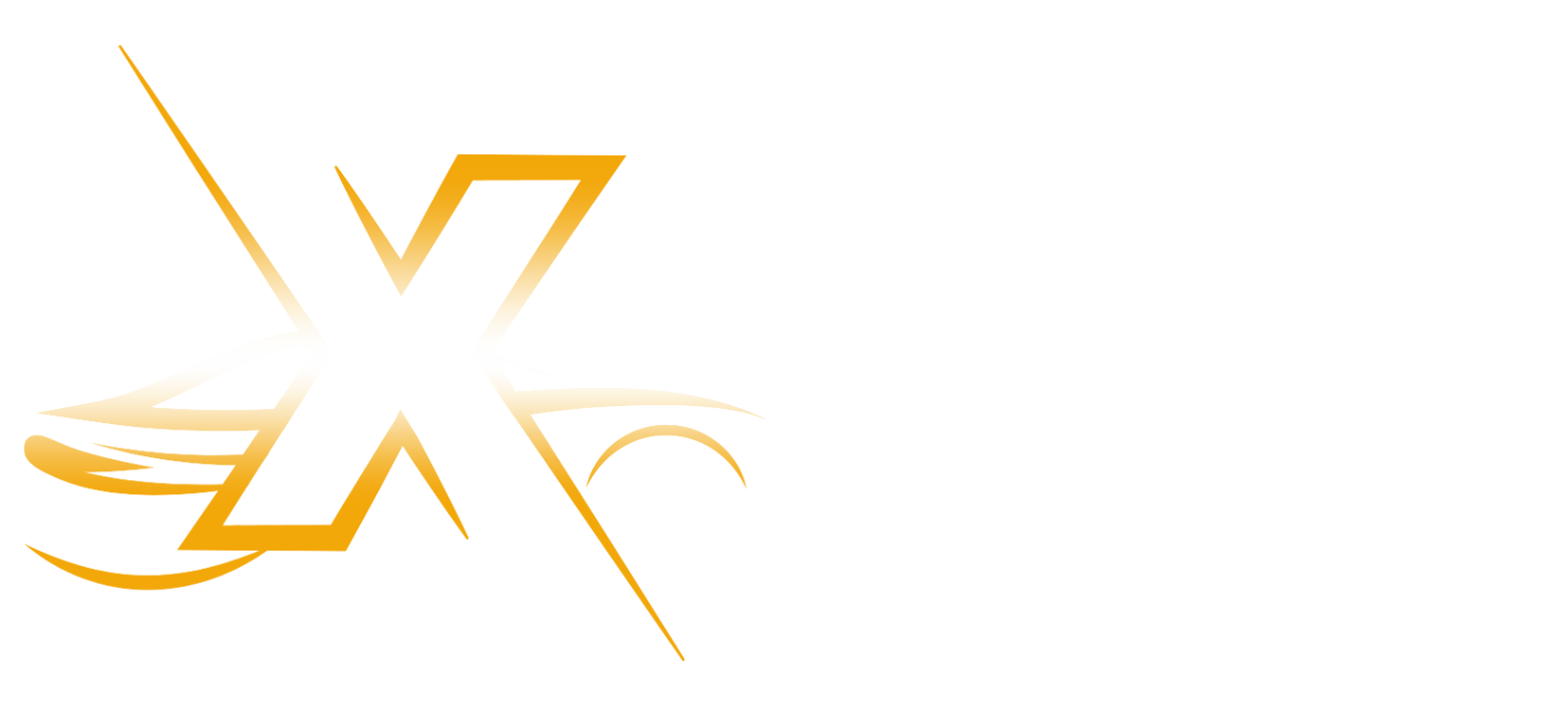 X - Auto Collision